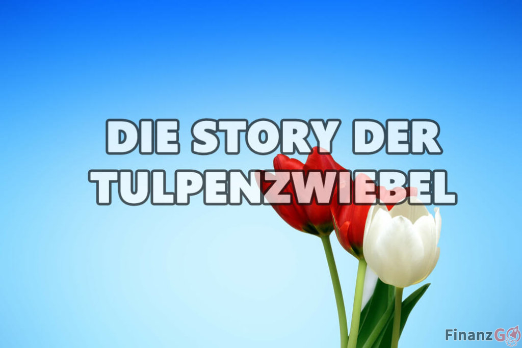 Die Story der Tulpenzwiebel! Wertpapier?
